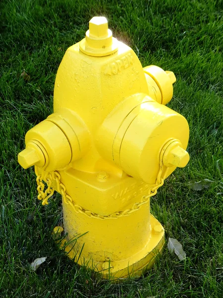 Gelber Feuerhydrant auf grünem Gras — Stockfoto