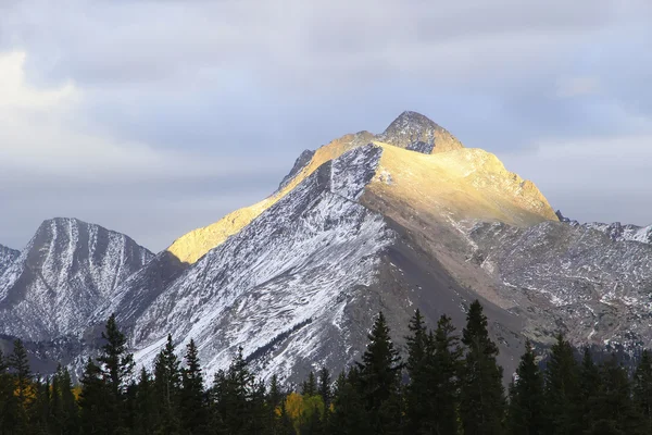 Needle mountains Range, Weminuche wilderness, Colorado — Stock Photo, Image