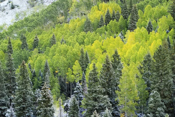 斯奈弗山范围与新鲜的雪，科罗拉多州 — 图库照片