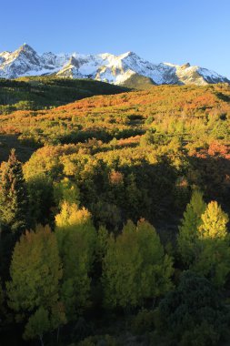 Dallas bölmek, uncompahgre Ulusal Ormanı, colorado