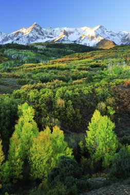 Dallas Divide, Uncompahgre National Forest, Colorado clipart