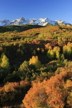 Dallas bölmek, uncompahgre Ulusal Ormanı, colorado