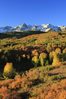 Dallas bölmek, uncompahgre Ulusal Ormanı, colorado