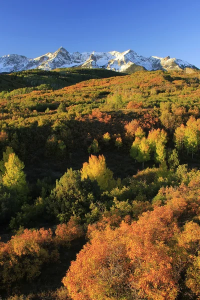 ダラスに分割し、uncompahgre 国有林、コロラド州 — ストック写真