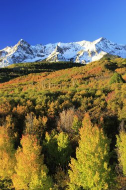 Dallas bölmek, uncompahgre Ulusal Ormanı, colorado