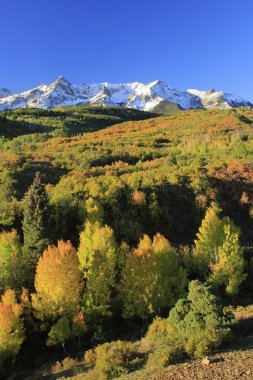 Dallas bölmek, uncompahgre Ulusal Ormanı, colorado