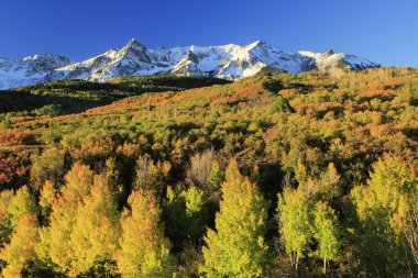 Dallas bölmek, uncompahgre Ulusal Ormanı, colorado