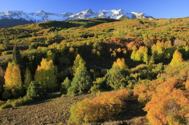 Dallas bölmek, uncompahgre Ulusal Ormanı, colorado