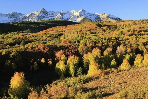 Dallas Divide, Uncompahgre National Forest, Colorado — Stock Photo, Image