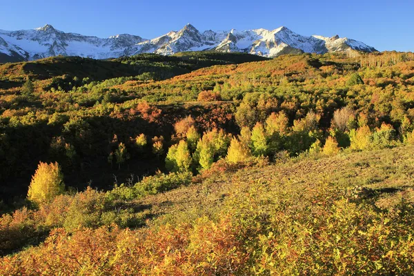 Даллас пропасти, uncompahgre Национальный парк, Колорадо — стоковое фото