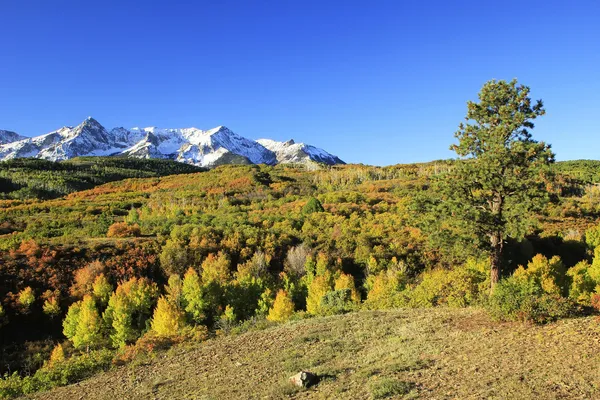 Dallas klyftan, uncompahgre national forest, colorado — Stock fotografie