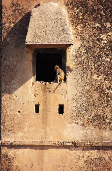 Taragarh fort muur met een venster, bundi, india — Stockfoto