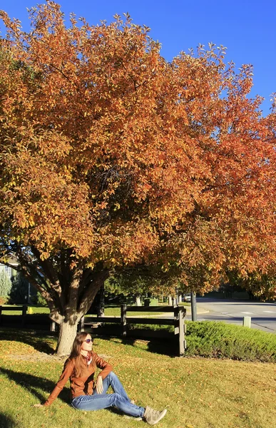 Young woman sitting under flowering pear tree — Stock Photo, Image