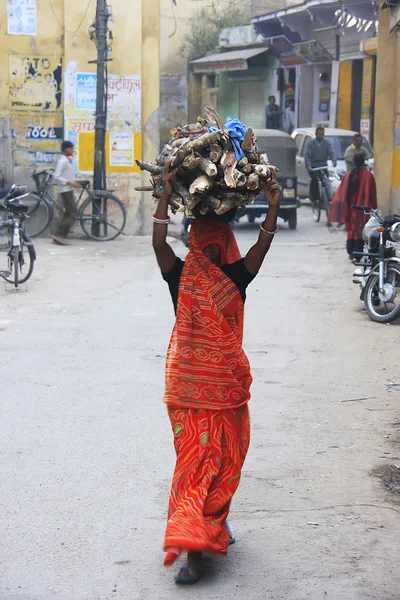 Indiase vrouw met hout op haar hoofd, bundi, india — Stockfoto