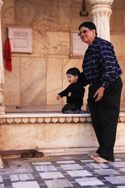 Hombre con un niño pequeño mirando ratas en el Templo Karni Mata, Deshnok —  Fotos de Stock