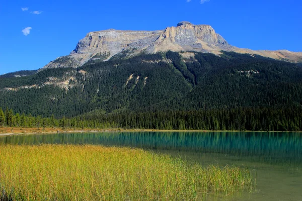 Fossielen bereik bij yoho Nationaalpark, emerald lake, canada — Stockfoto