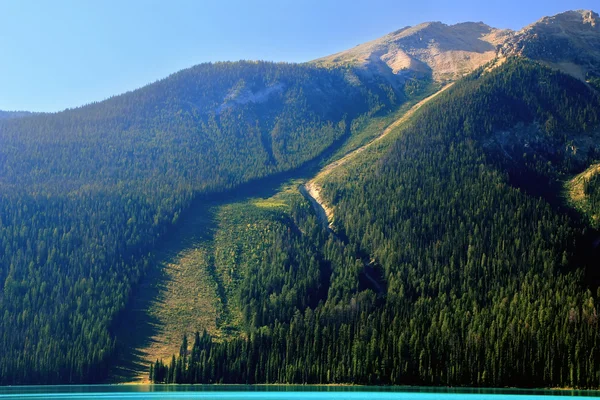 Sendero de avalancha en Emerald Lake, Parque Nacional Yoho, Canadá —  Fotos de Stock