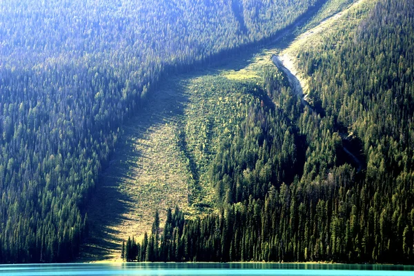 Sendero de avalancha en Emerald Lake, Parque Nacional Yoho, Canadá —  Fotos de Stock