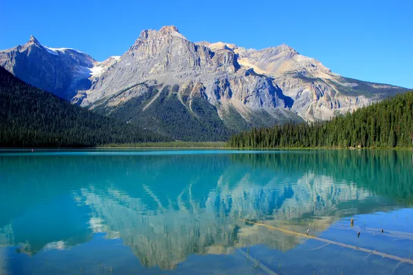 Emerald Lake, Yoho Ulusal Parkı, British Columbia, Kanada