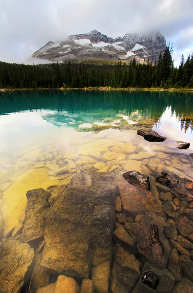 Lake o 'hara, yoho nationalpark, britisch columbia, kanada — Stockfoto