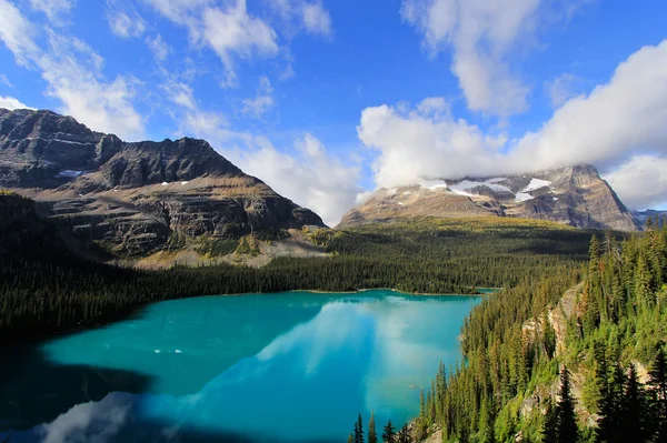 Lake o'hara, yoho national park, Brits-columbia, canada — Stockfoto