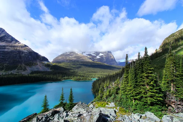 Lago O 'Hara, Parque Nacional Yoho, Columbia Británica, Canadá — Foto de Stock