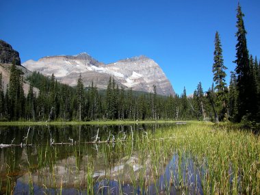 Göl o'hara, yoho Milli Parkı, british columbia, Kanada