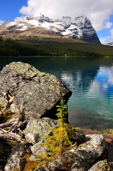 Lago O 'Hara, Parque Nacional Yoho, Columbia Británica, Canadá —  Fotos de Stock