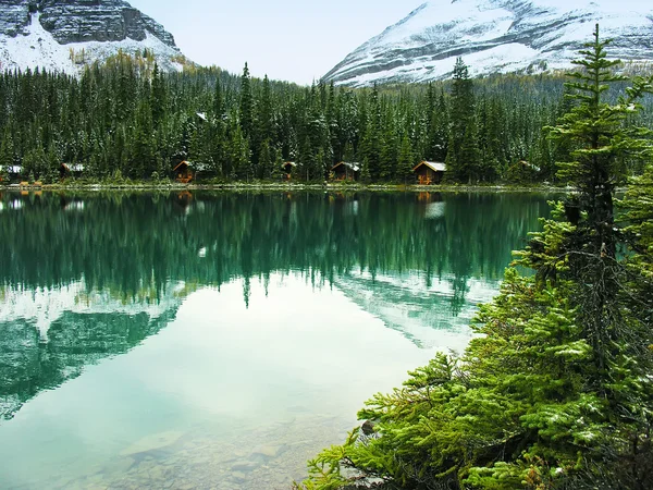 Lake o 'hara, yoho nationalpark, britisch columbia, kanada — Stockfoto