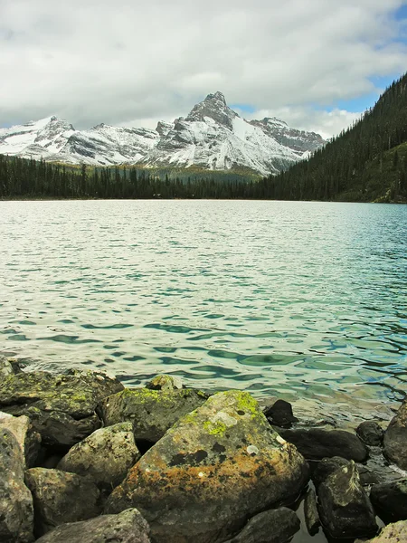 Lake o'hara, yoho national park, Brits-columbia, canada — Stockfoto