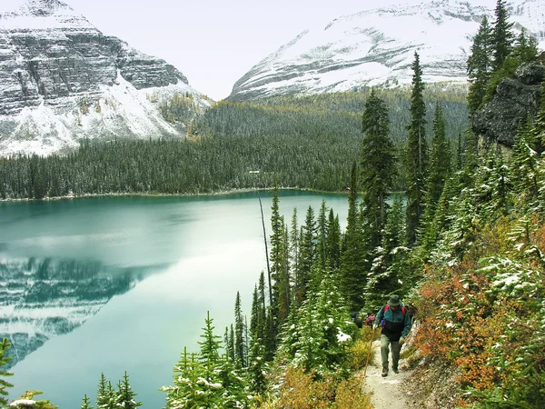 Lago O 'Hara, Parque Nacional Yoho, Columbia Británica, Canadá —  Fotos de Stock