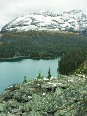Göl o'hara, yoho Milli Parkı, british columbia, Kanada