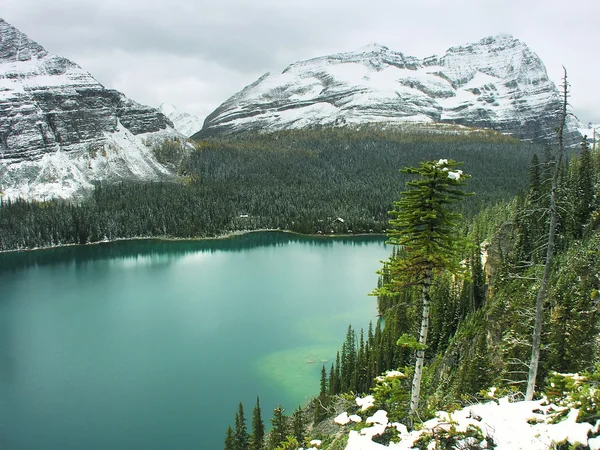 湖 · 奥哈拉，yoho 国家公园、 不列颠哥伦比亚省加拿大 — 图库照片
