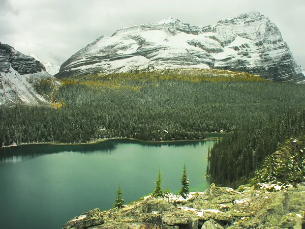 Lake o 'hara, yoho nationalpark, britisch columbia, kanada — Stockfoto