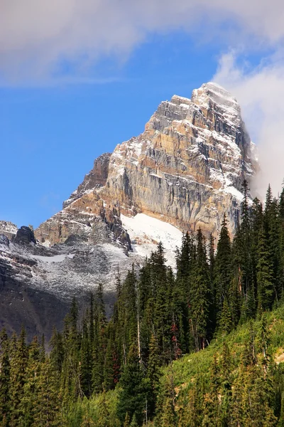 Góry wokół jeziora o'hara, yoho national park, Kanada — Zdjęcie stockowe