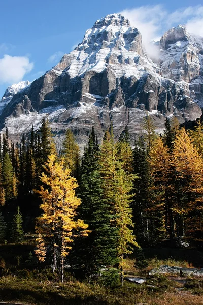 Mount huber a opabin plošině, národním parku yoho, Kanada — Stock fotografie