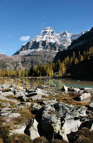 Montera huber och opabin platå, yoho nationalpark, Kanada — Stockfoto