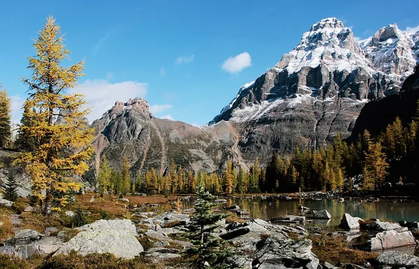 Mount huber ve opabin Yaylası, yoho Milli Parkı, Kanada — Stok fotoğraf