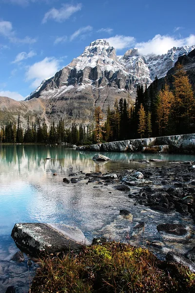 Mount huber ve opabin Yaylası, yoho Milli Parkı, Kanada — Stok fotoğraf