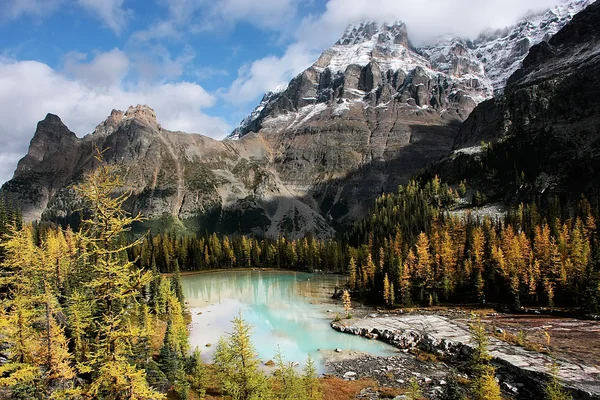 Mount huber ve opabin Yaylası, yoho Milli Parkı, Kanada — Stok fotoğraf