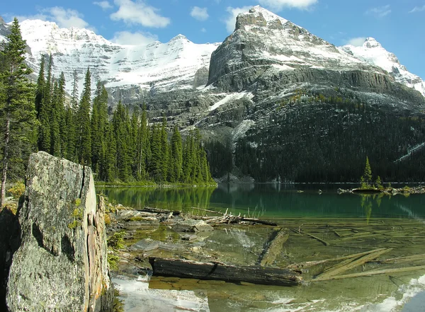 Lago O 'Hara, Parque Nacional Yoho, Columbia Británica, Canadá —  Fotos de Stock