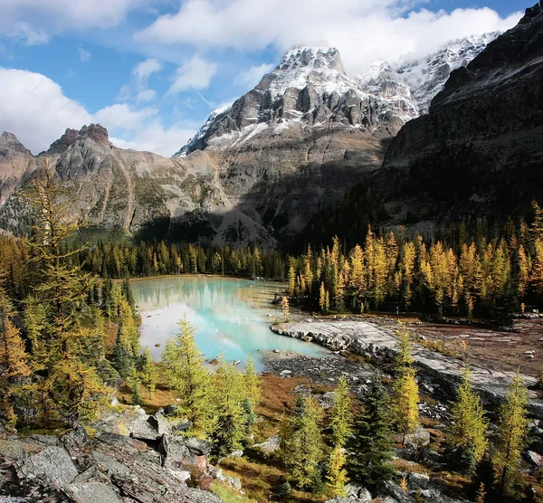 Mount huber ve opabin Yaylası, yoho Milli Parkı, Kanada — Stok fotoğraf