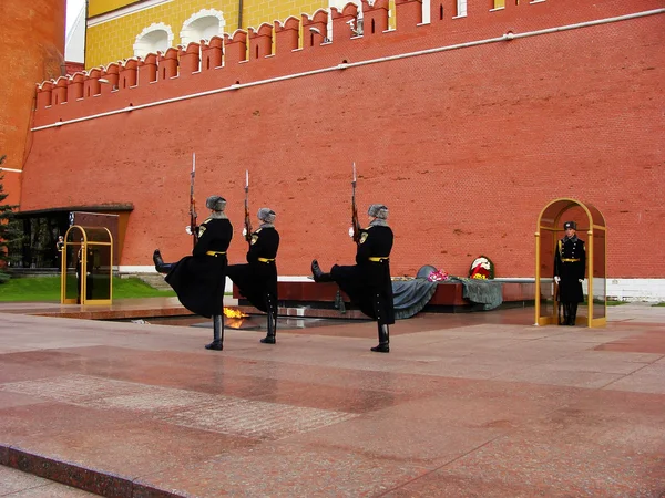 Mudança da Cerimônia da Guarda de Honra, Túmulo do Soldado Desconhecido — Fotografia de Stock