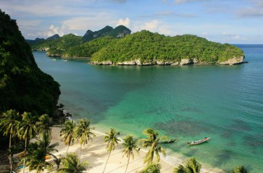 Ang thong ulusal deniz parkı, Tayland