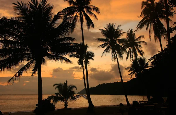 Playa tropical con palmeras al amanecer, Ang Thong National Ma — Foto de Stock