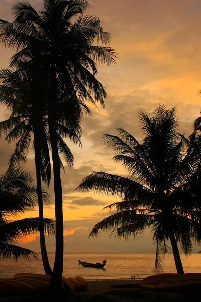 Tropical beach with palm trees at sunrise, Ang Thong National Ma — Stock Photo, Image