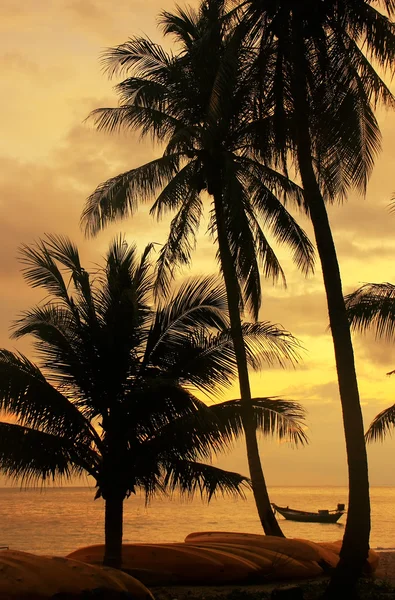 Tropical beach with palm trees at sunrise, Ang Thong National Ma — Stock Photo, Image