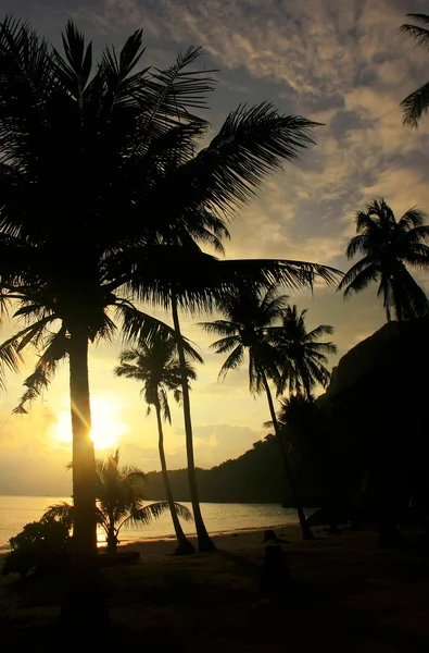 Tropisk strand med palmer vid soluppgången, ang thong national ma — Stockfoto