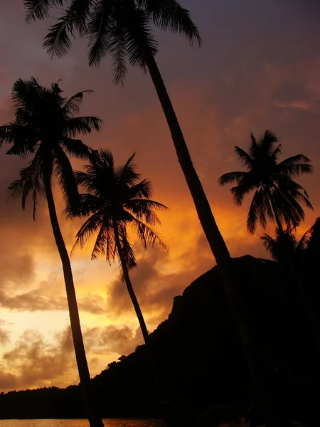 地处热带的海滩和棕榈树在日出，李安通全国马 — 图库照片
