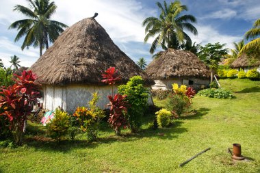 Traditional houses of Navala village, Viti Levu, Fiji clipart